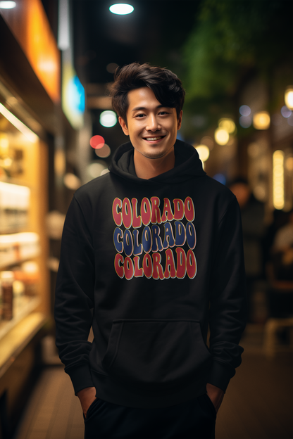 Retro Colorado (Hoodie) – TheCoSpot Retro Colorado (Hoodie) – TheCoSpot